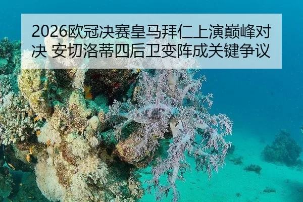 ou-guan-jue-sai-huang-ma-bai-ren-shang-yan-dian-feng-dui-jue-an-qie-luo-di-si-hou-wei-bian-zhen-cheng-guan-jian-zheng-yi-2-988.jpg